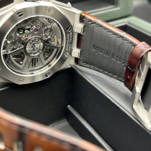 Watch crown and side buttons