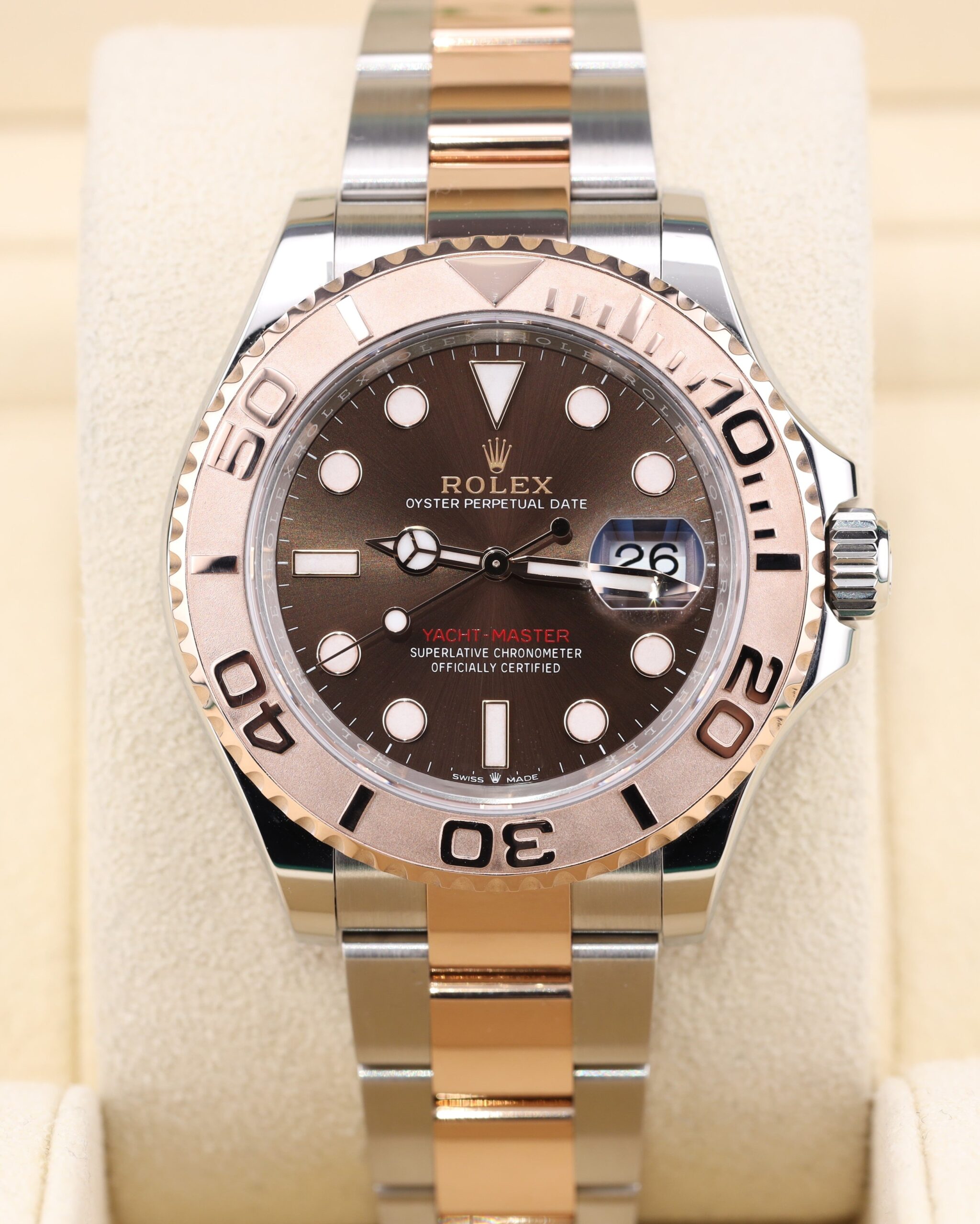 Two-tone luxury sport watch with chocolate dial