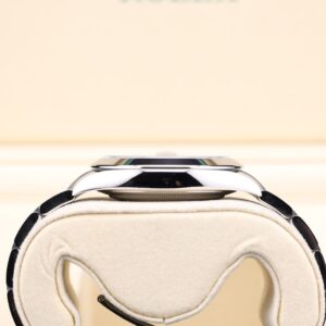 Vintage diver mechanical watch dial